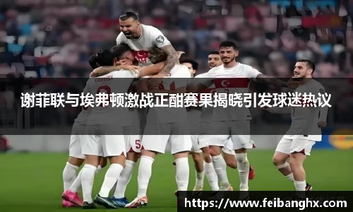 谢菲联与埃弗顿激战正酣赛果揭晓引发球迷热议